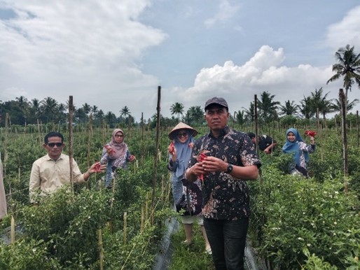 pemerintah-nagari-simalanggang-lakukan-kunjungan-ke-unit-usaha-bumnag-carano-di-kebun-cabe